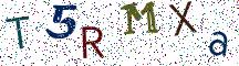 T5RMXa