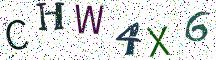 CHW4X6