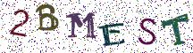 2BMEST