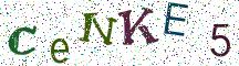 CeNKE5