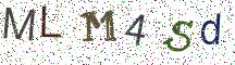 MLM4Sd