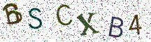 BSCXB4