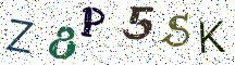 Z8P5SK