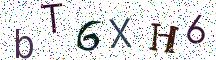 bT6XH6