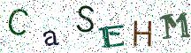 CaSEHM