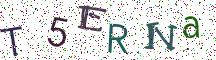 T5ERNa