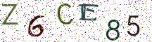 Z6CE85