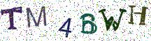 TM4BWH