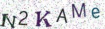 N2KAMe