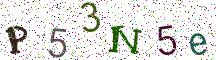 P53N5e