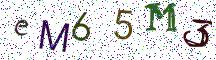 eM65M3