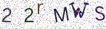 22rMWS