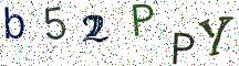 b52PPY