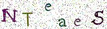 NTeaeS