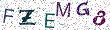 FZEMG8
