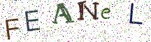 FEANeL