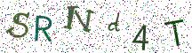 SRNd4T