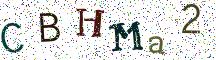 CBHMa2