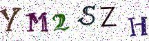 YM2SZH