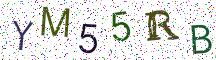 YM55RB