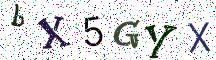 bX5GYX