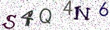 S4Q4N6