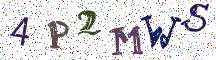 4P2MWS
