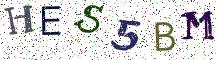 HES5BM