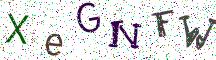 XeGNFW