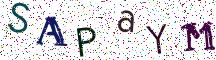SAPaYM