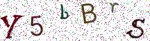 Y5bBrS