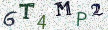 6T4MP2