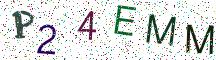 P24EMM