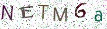 NETM6a
