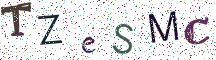 TZeSMC