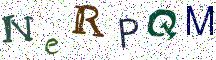 NeRPQM