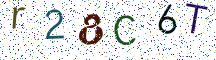 r28C6T