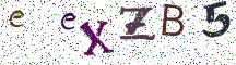 eeXZB5