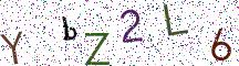 YbZ2L6