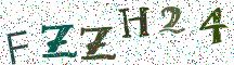 FZZH24