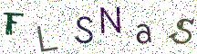 FLSNaS