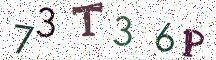 73T36P