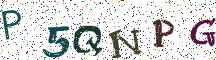 P5QNPG
