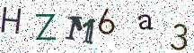 HZM6a3