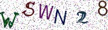 WSWN28