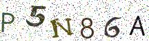 P5N86A
