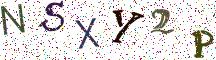 NSXY2P