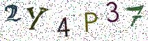 2Y4P37