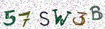 57SW3B