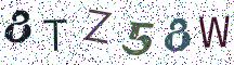 8TZ58W